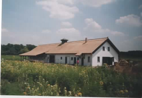 Új tető