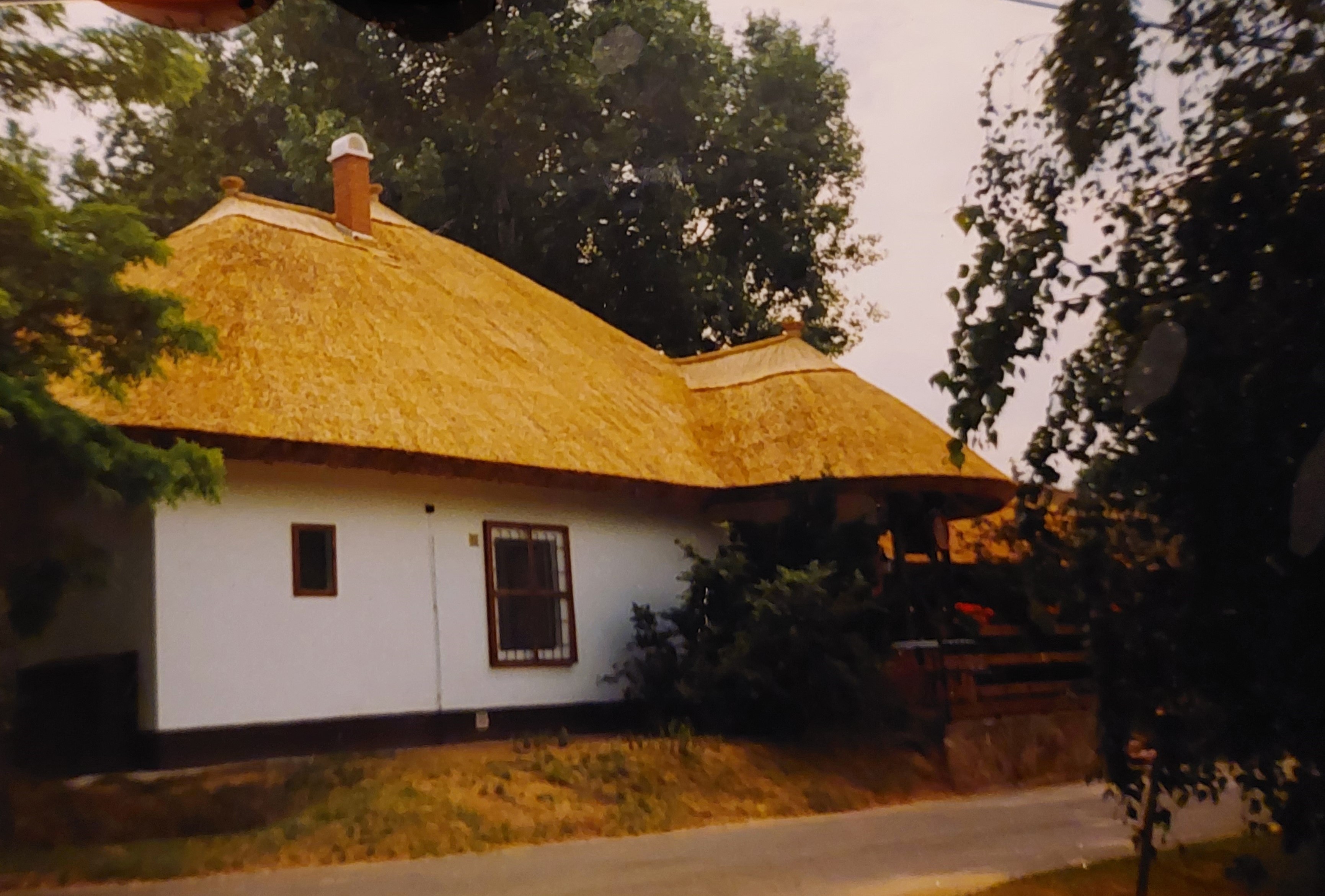 Új tető