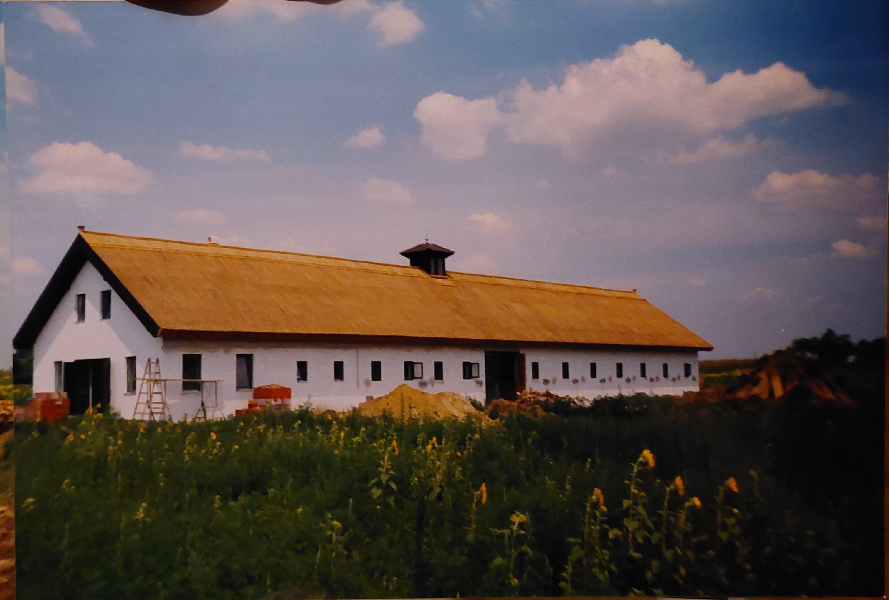 Új tető